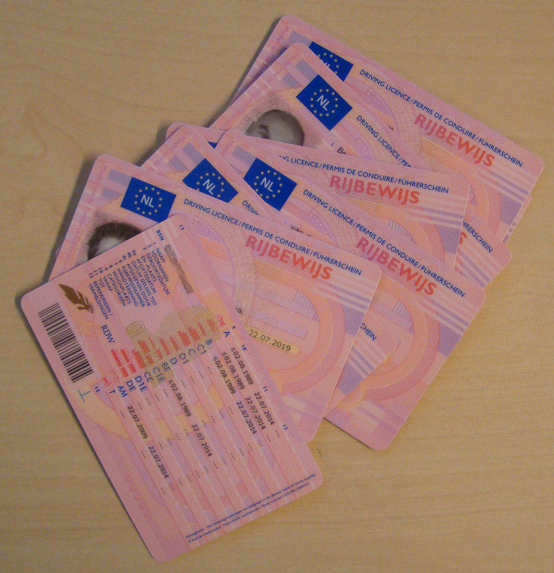 geregistreerdrijbewijskopennederland.nl